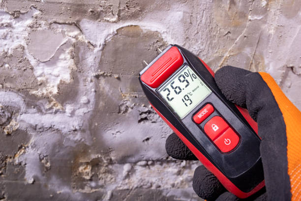 Best Office Mold Removal Services  in North Adams, MA